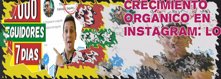 Como ganar seguidores en instagram organicamente