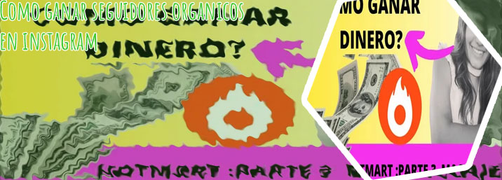 Como ganar seguidores organicos en instagram
