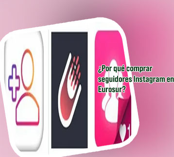 Instagram seguidores
