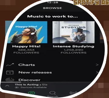 Seguidores en spotify